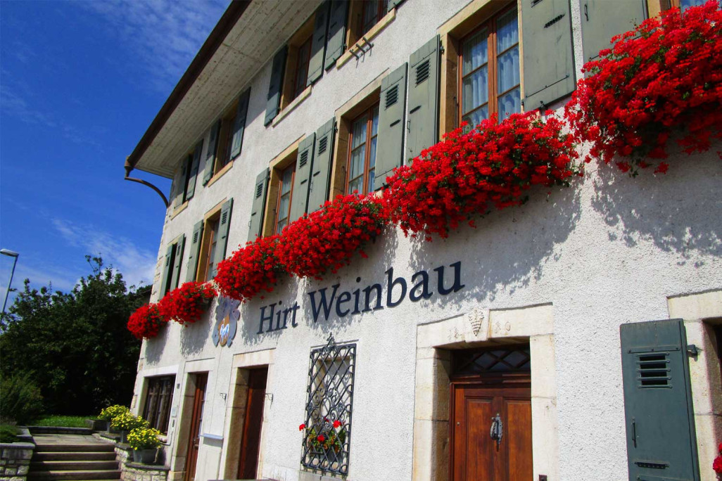 Hirt Weinbau, mesure des bâtiments HMQ AG