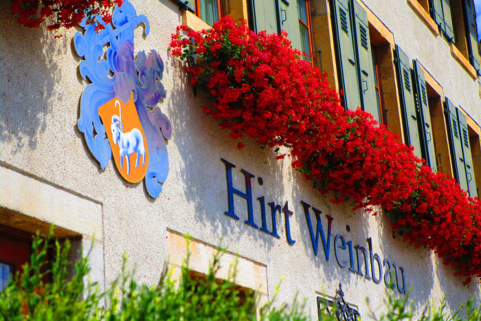 Hirt Weinbau