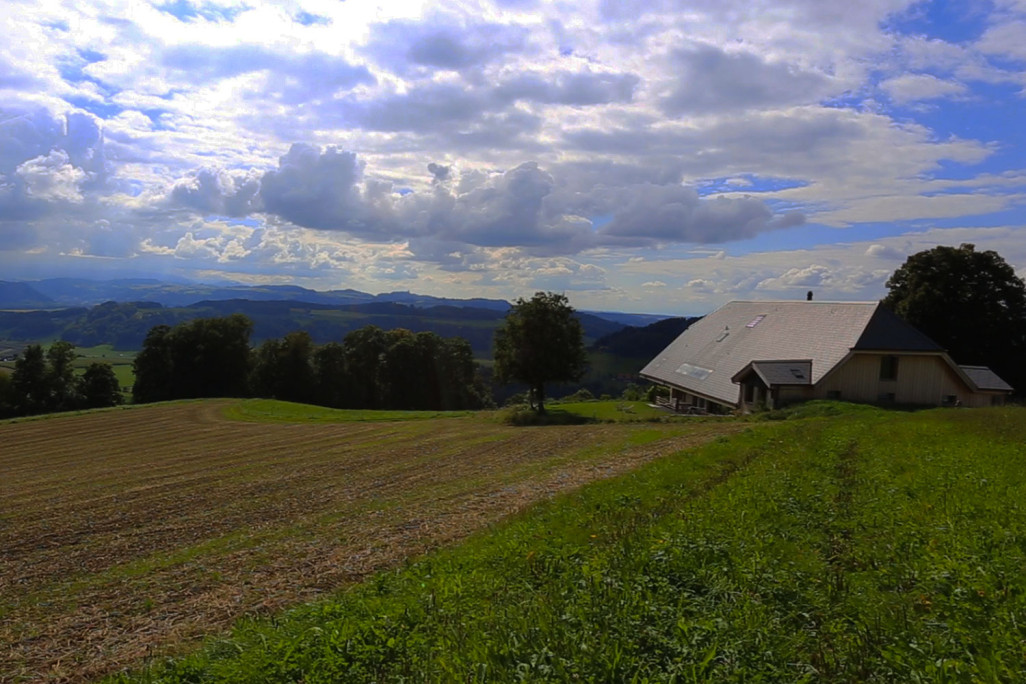 Relevé architectural d'une ferme, Utzigen